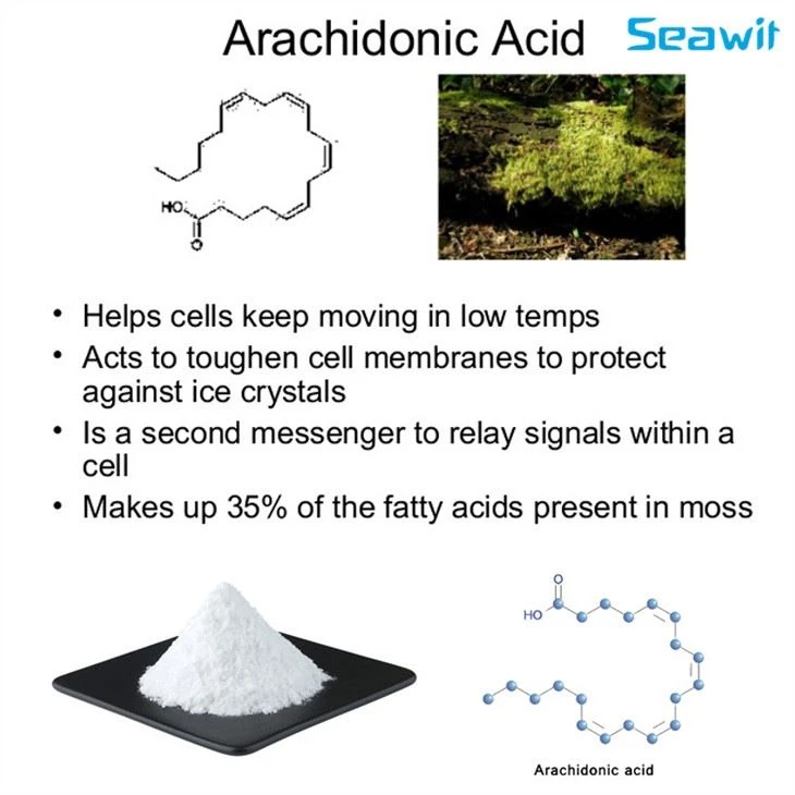 Arachidonic Acid Oil Powder /ARA POWDER